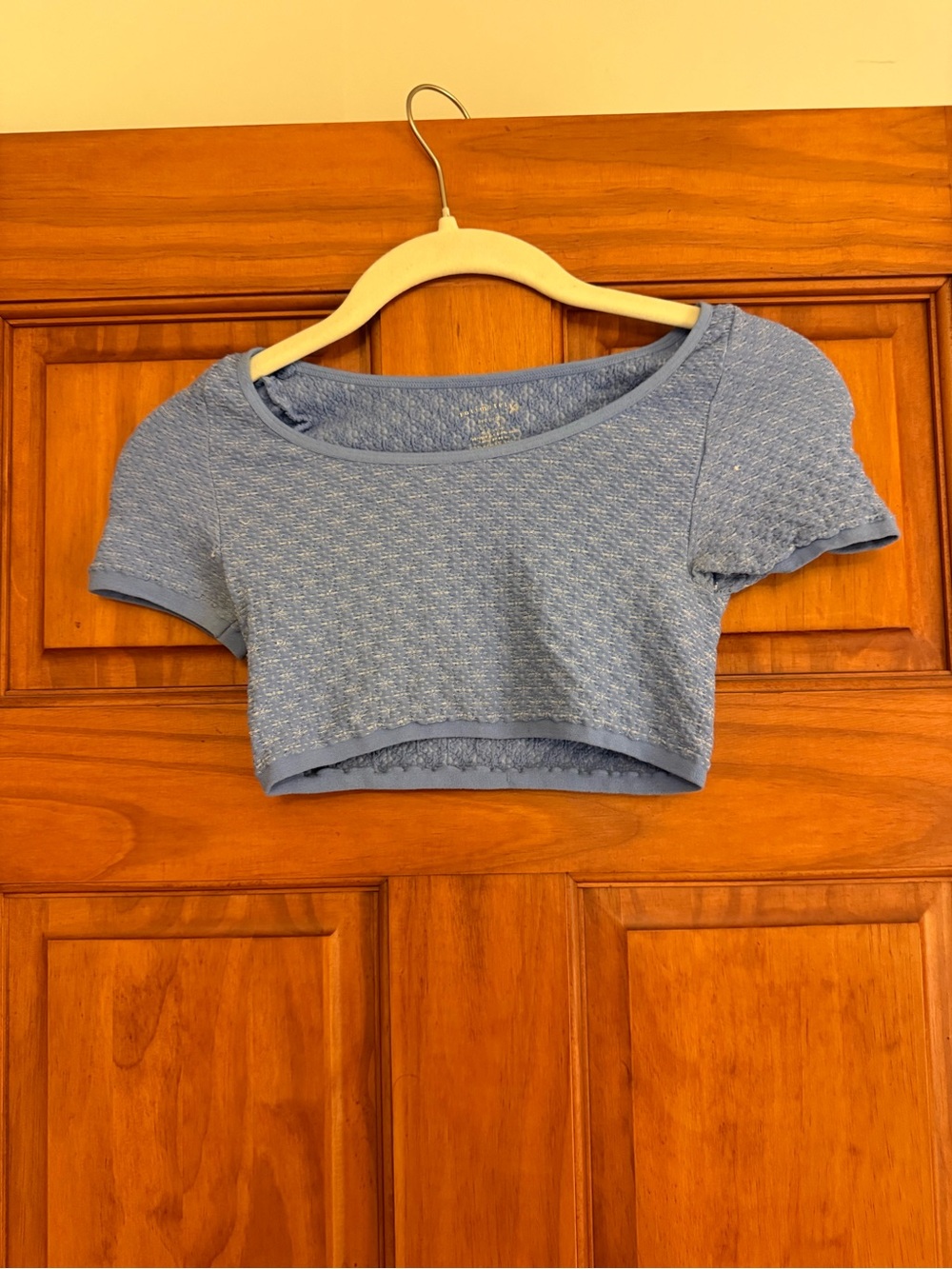 Blue Short-Sleeve Cropped Knit Top